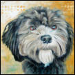 gemaltes Tierportrait von Hund Anton, Hundeportrait