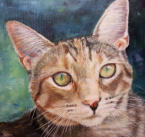 gemaltes Katzenportrait von Katze Laurita